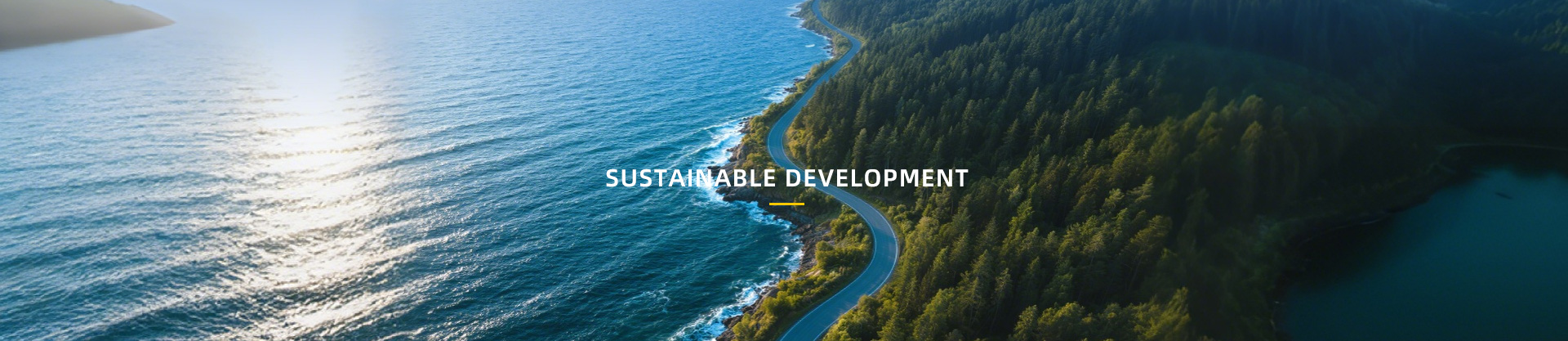 Social Responsibility