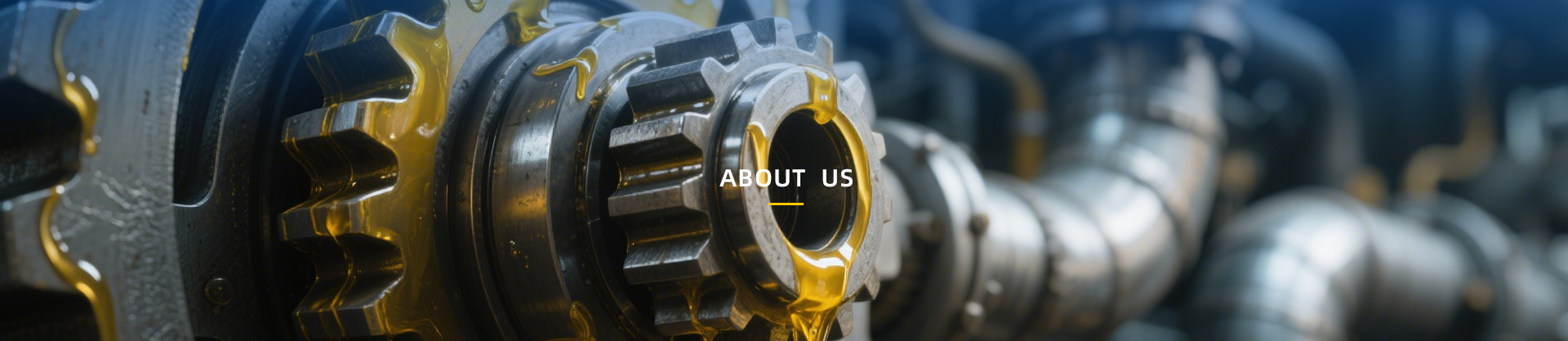 Qualifications and Honors